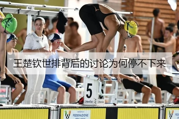 王楚钦世排背后的讨论为何停不下来